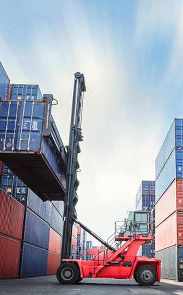company formation in hamriyah free zone